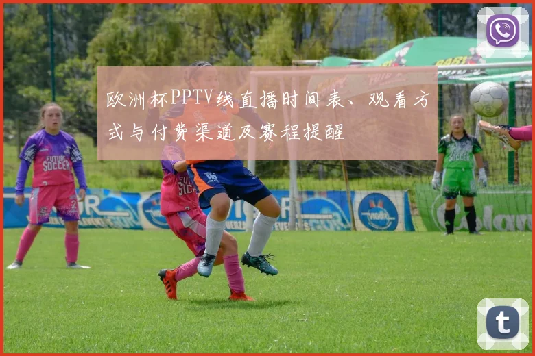 欧洲杯PPTV线直播时间表、观看方式与付费渠道及赛程提醒