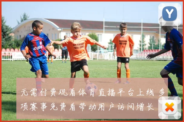 无需付费观看体育直播平台上线 多项赛事免费看带动用户访问增长