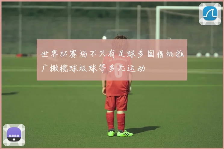 世界杯赛场不只有足球多国借机推广橄榄球板球等多元运动