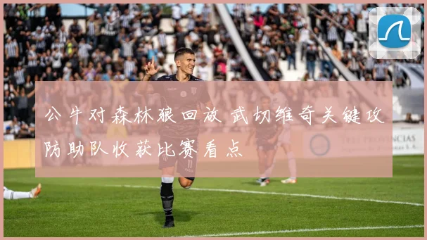 公牛对森林狼回放 武切维奇关键攻防助队收获比赛看点