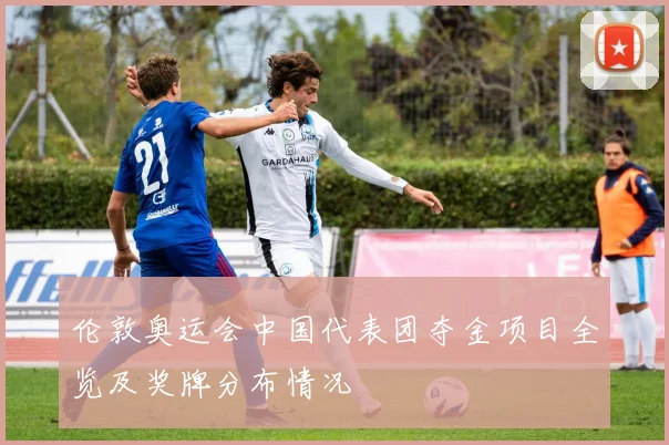 伦敦奥运会中国代表团夺金项目全览及奖牌分布情况