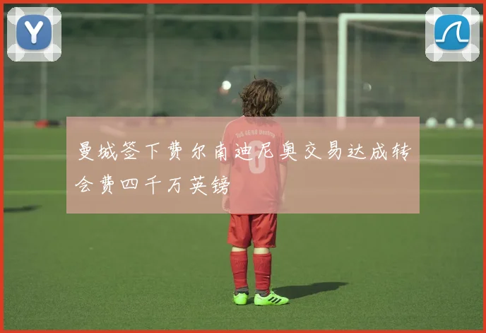 曼城签下费尔南迪尼奥交易达成转会费四千万英镑