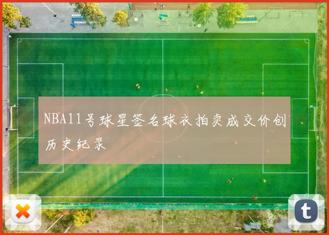 NBA11号球星签名球衣拍卖成交价创历史纪录