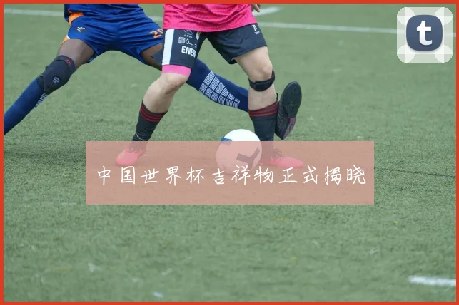 中国世界杯吉祥物正式揭晓