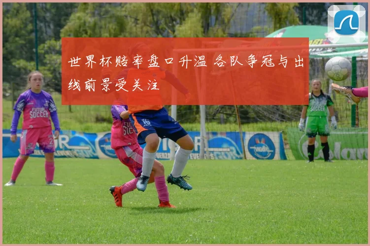 世界杯赔率盘口升温 各队争冠与出线前景受关注