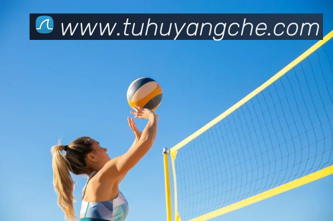 emc易倍官方官网平台生态图