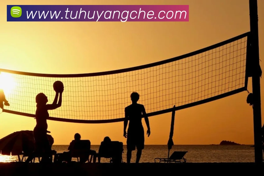 emc易倍官方官网APP 封面图